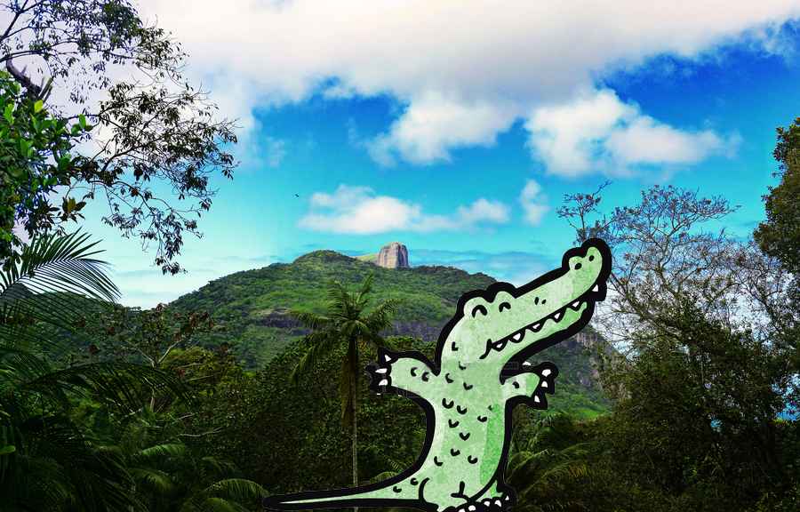 La Cocodrila Alicia y la Selva