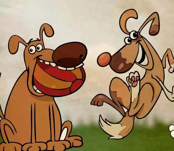 Baco y Chiripa perros amigos