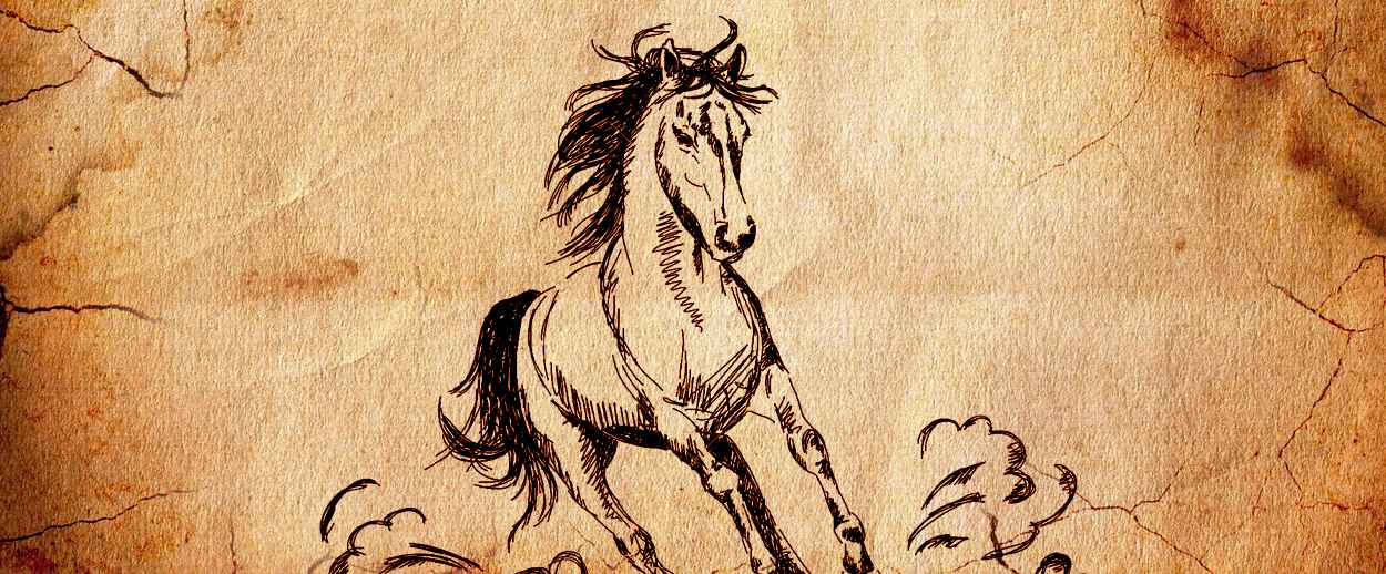 Rayo majestuoso un caballo valiente