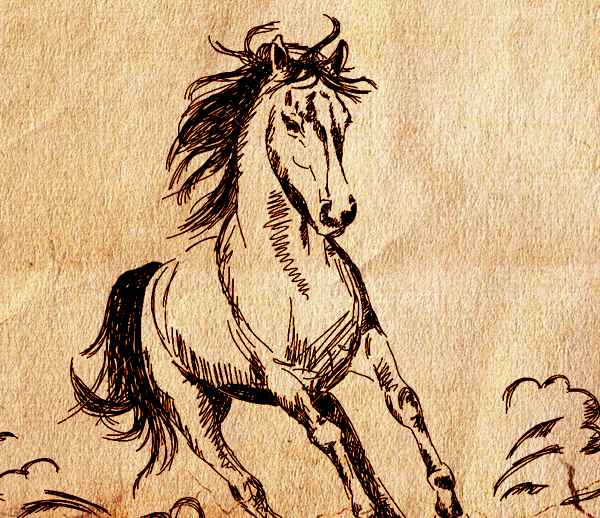 Rayo majestuoso un caballo valiente