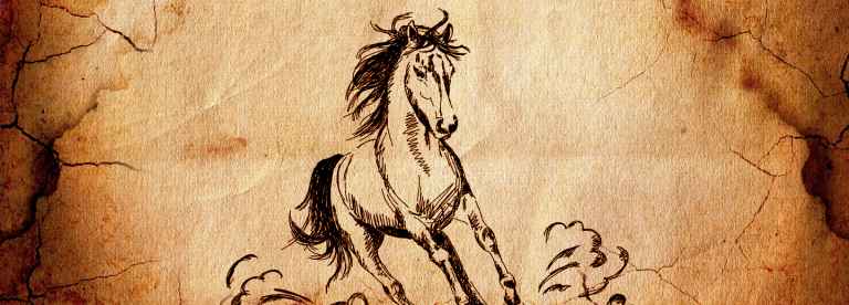 Rayo majestuoso un caballo valiente