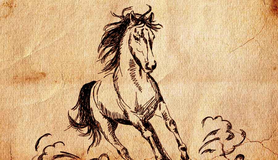 Rayo majestuoso un caballo valiente